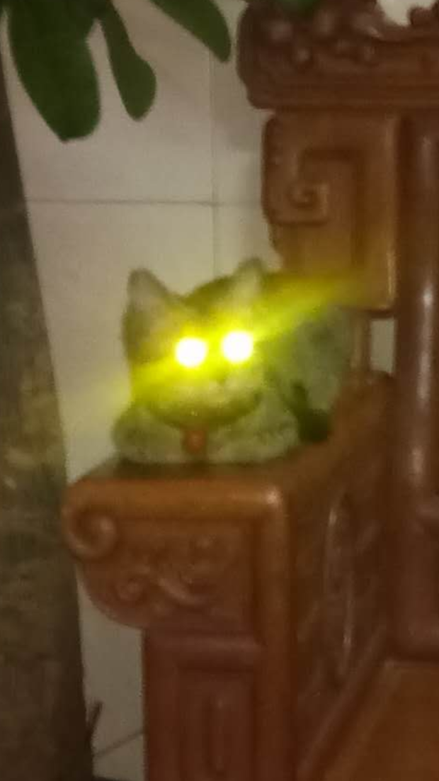 怎么样可以拍到猫眼睛发光的照片?